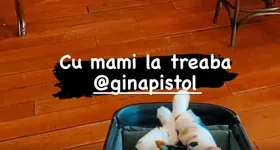 Galerie foto - poza 2