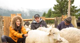 Galerie foto - poza 2