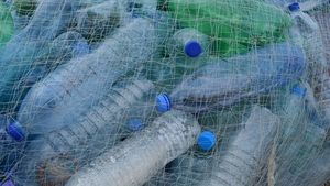 Atenție! Câți bani poți primi dacă vei aduna 10 sticle de plastic. Ministrul Mediului a făcut anunțul
