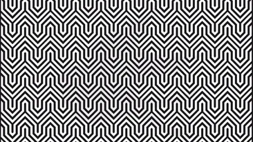 IQ TEST - iluzia optică dificilă care a pus netul pe jar | Ce animal vezi în poza asta?