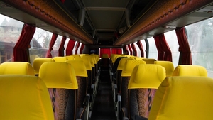 Orașul din România în care transportul va costa un leu. Administrația a luat decizia