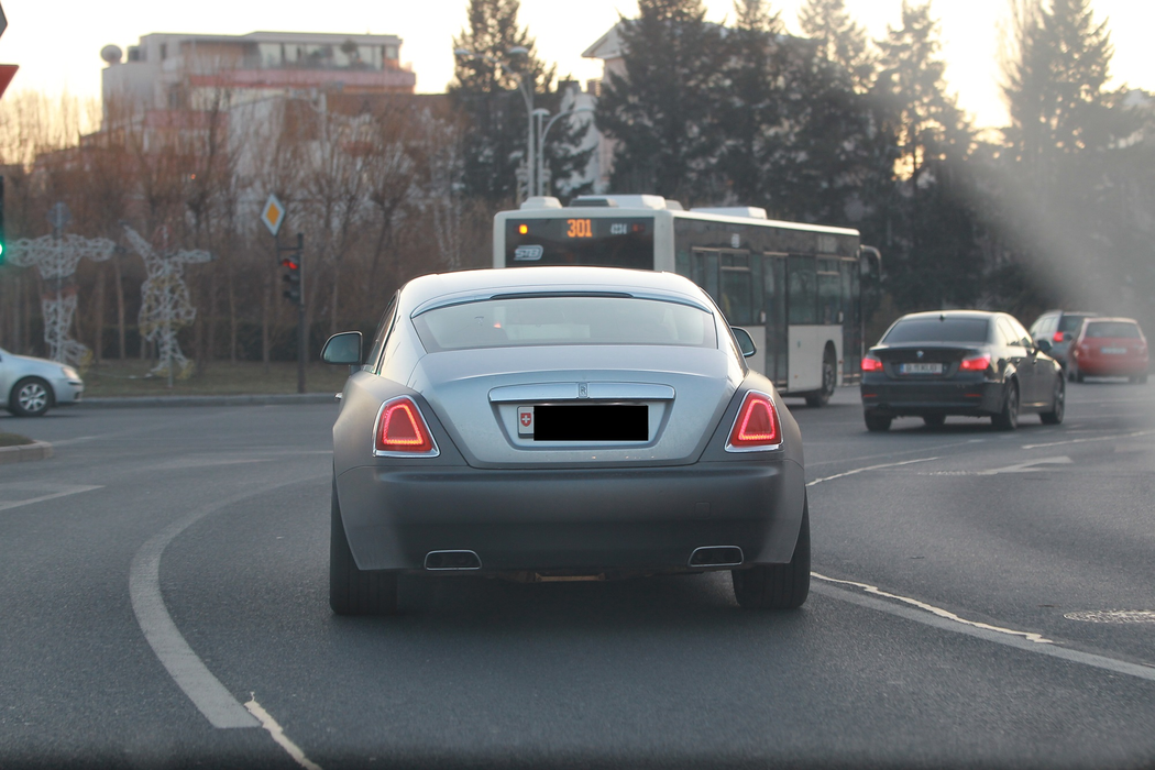 Vica și ”elvețianul” Birlic, la plimbare prin București