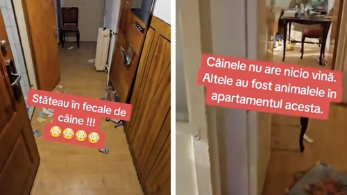 IREAL! Ce-a putut să găsească un proprietar din Capitală în apartamentul pe care îl închiriase unui cuplu