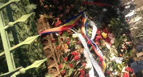 Galerie foto - poza 2