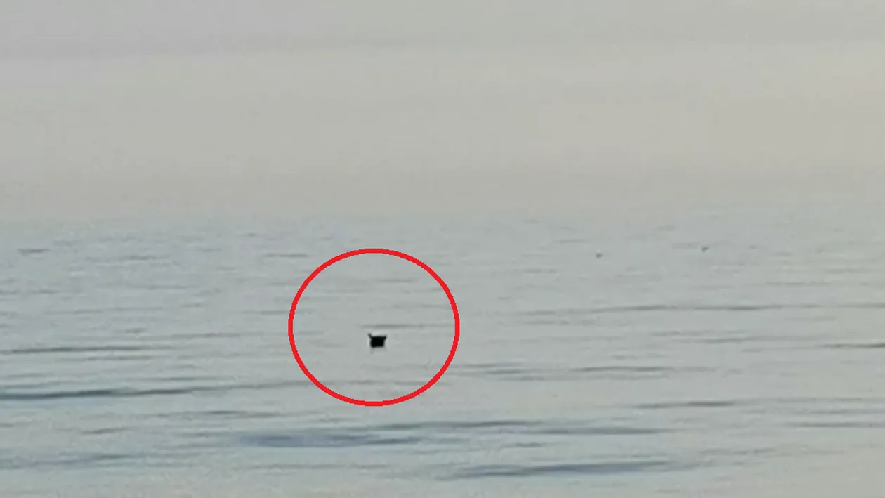 Alertă în Marea Neagră! Ce se întâmplă la doar 70 de kilometri de Capul Midia