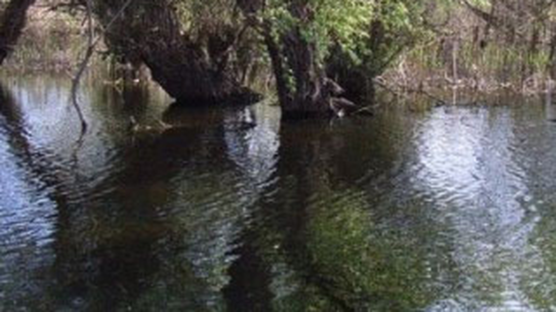 Doua persoane au murit dupa ce s-au rasturnat cu masina intr-un canal
