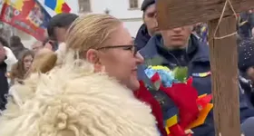 Galerie foto - poza 4