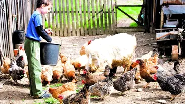 Noi conditii pentru subventia de caldura!