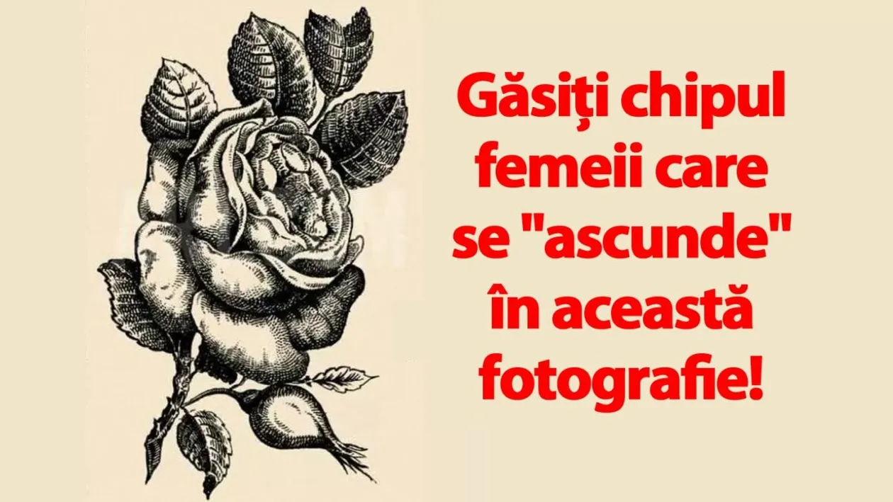 Test IQ din anul 1880 | Găsiți chipul femeii care se ascunde în această fotografie din Franța!