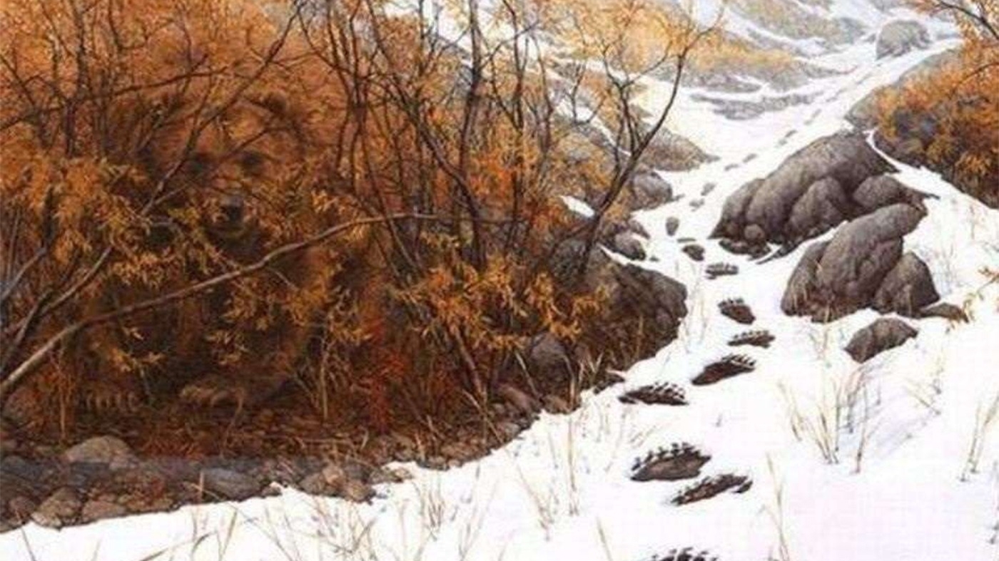 Iluzie optică virală | Ești un geniu dacă poți găsi ursul ascuns în această fotogafie