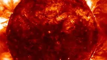 Vezi cum este afectat organismul uman de tsunami-ul solar!