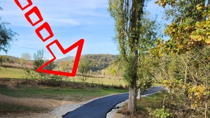 Descoperire istorică făcută în România, unică în lume! Ce a găsit un bărbat, pe un câmp din comuna Șoimuș