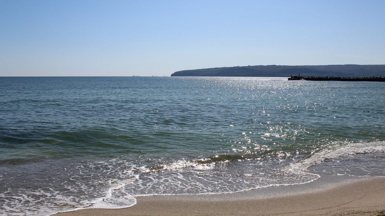 OMS avertizează! Un virus periculos a fost descoperit în Marea Neagră