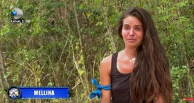 Galerie foto - poza 4