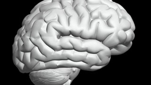 Implantul cerebral cu matase, eficient in tratarea epilepsiei