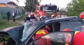 Galerie foto - poza 1