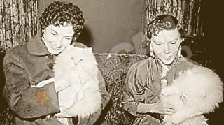 O romanca pe lista celor mai influente "femmes fatales" din secolul XX