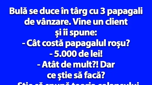 BANC | Bulă se duce în târg cu 3 papagali de vânzare