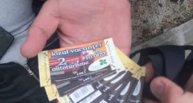 Galerie foto - poza 4