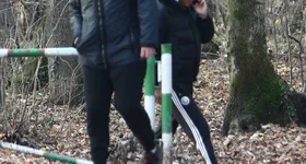 Galerie foto - poza 1