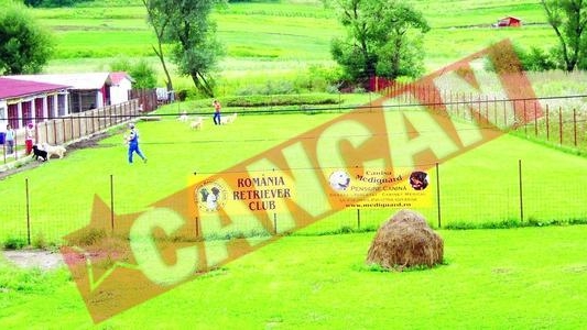 Gradinita si cresa pentru caini