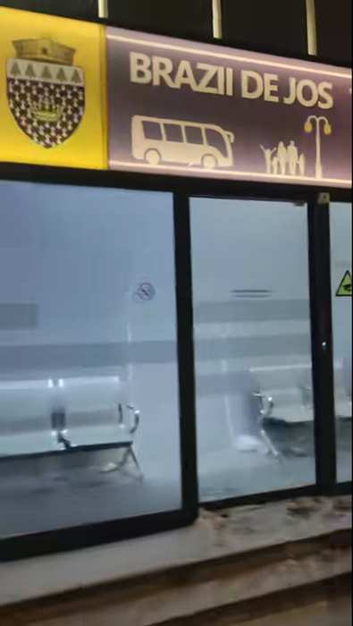 Comuna din România care lasă în urmă până și Capitala! Stații de transport după modelul din Dubai. Localnicii stau la căldură și iarna