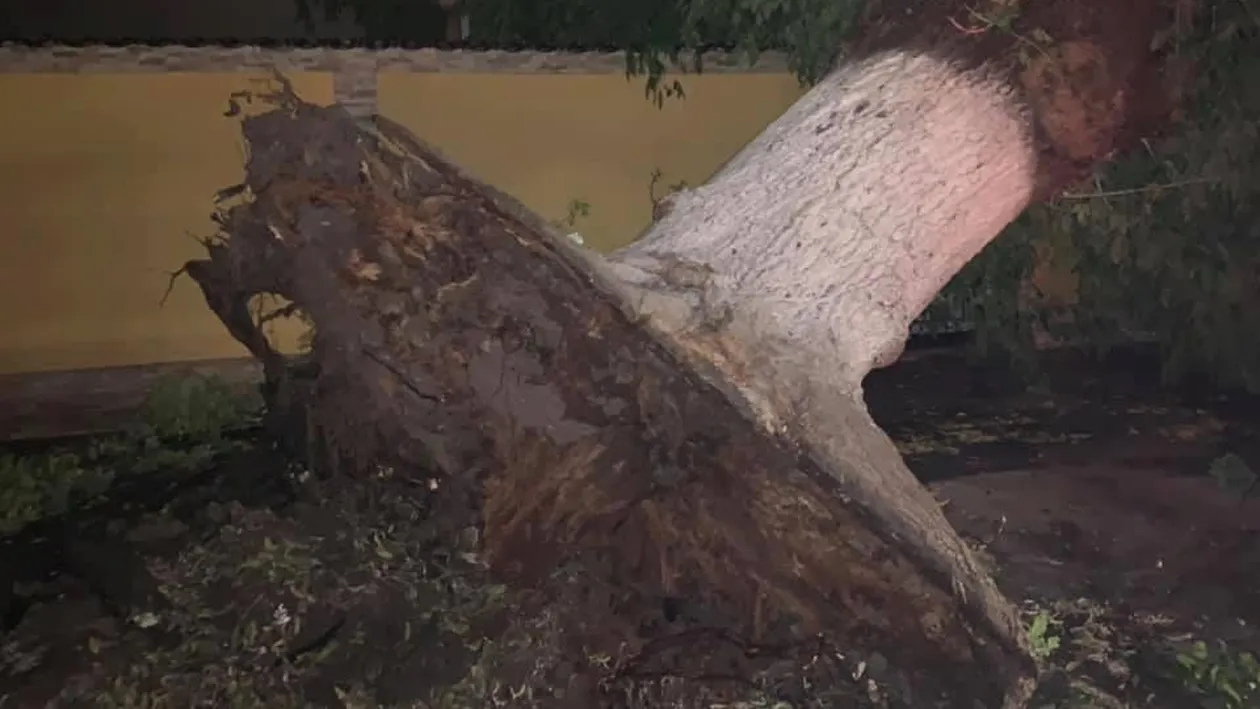 Un oraș din România arată apocaliptic după furtuna de azi noapte!