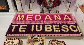 Galerie foto - poza 2