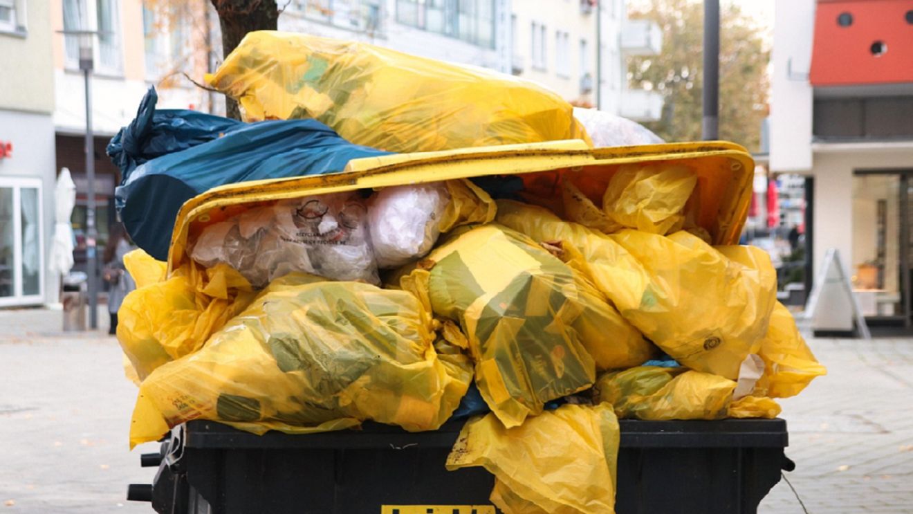 Ce-a putut să găsească Georgina la ghena de gunoi. Când a văzut, să cadă din picioare: ”Vă vine să credeți?!”