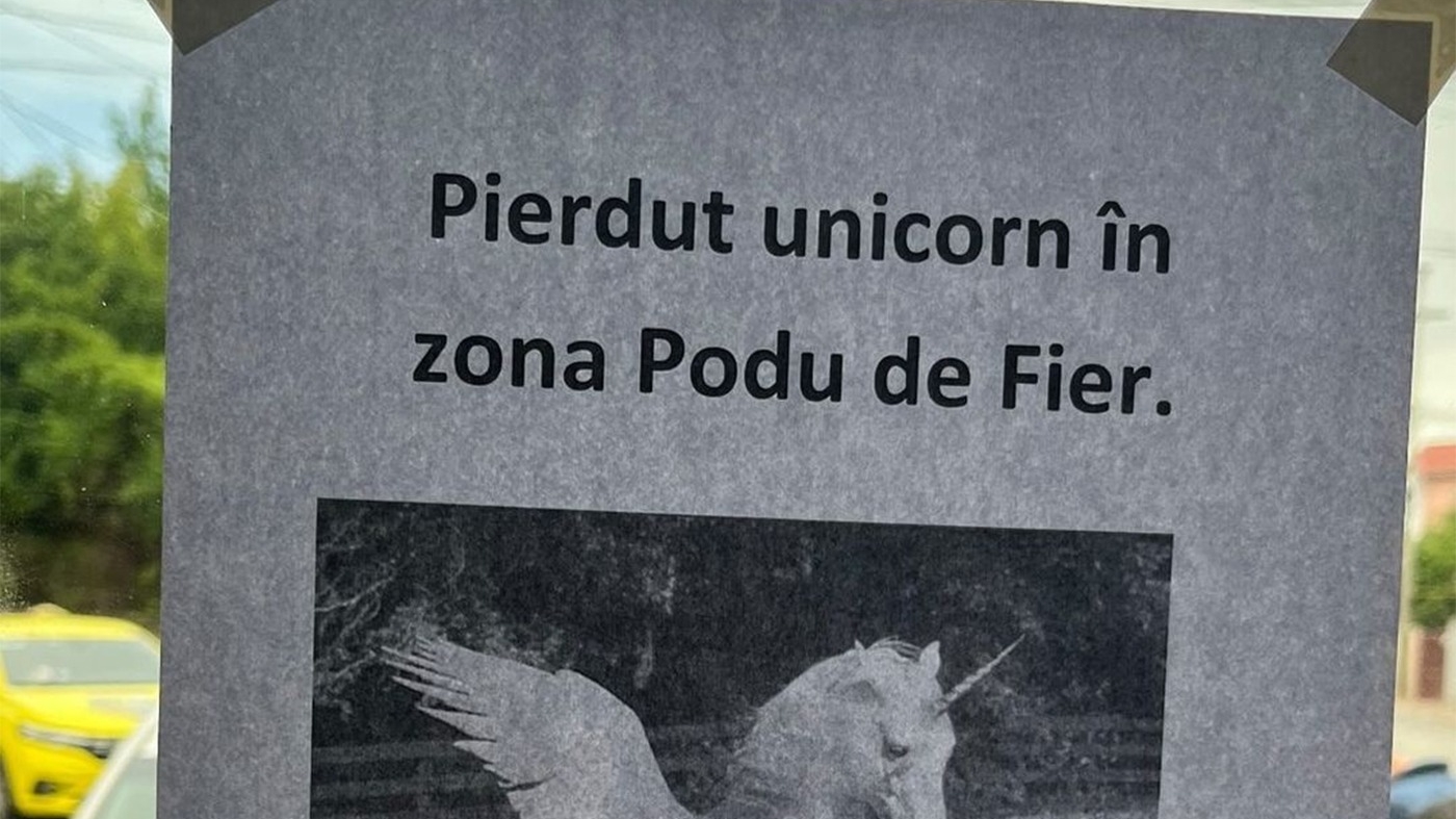 Acest anunț din Iași a devenit viral: "Pierdut unicorn în zona Podu de Fier. Dacă-l vedeți, nu vă.."