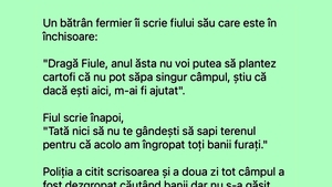 BANCUL ZILEI | Un bătrân fermier în scrie fiului său, care e în închisoare
