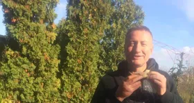 Galerie foto - poza 4