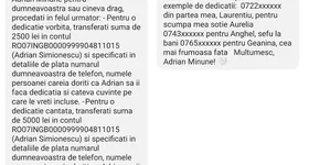 Galerie foto - poza 2