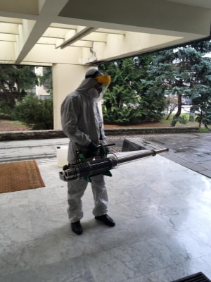 Șefii județului Maramureș, autoizolați la Prefectură