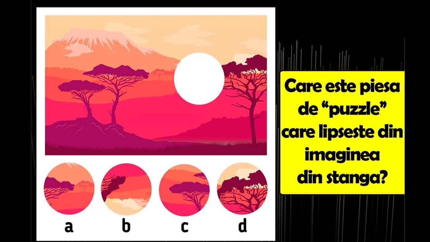 Test de logică | Care este piesa de "puzzle" care lipsește din imaginea alăturată?
