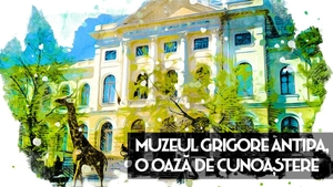 Muzeul Grigore Antipa, o oază de cunoaștere