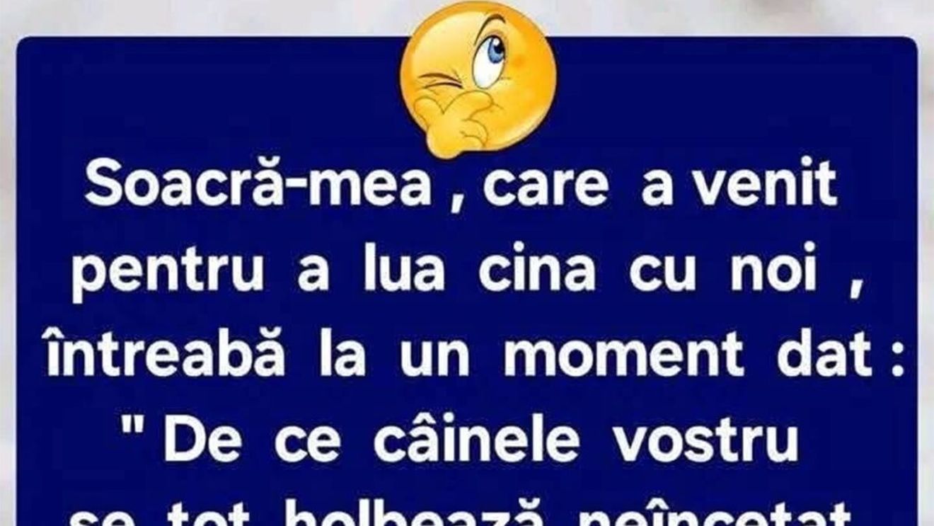 Bancul sfârșitului de săptămână | Soacra și câinele
