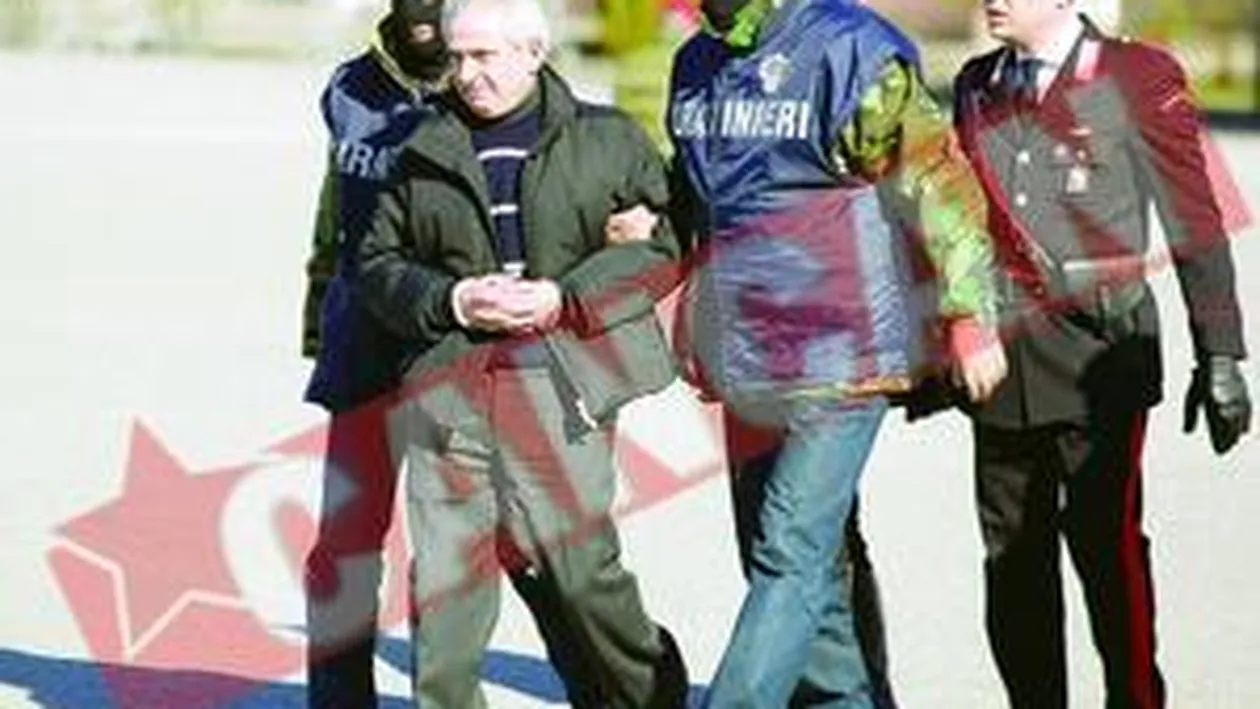 Mafia calabreza a fost decapitata