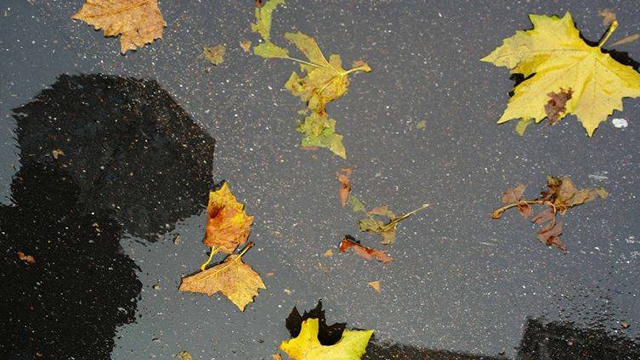 Anunţul făcut de meteorologi! PROGNOZA pentru joi şi vineri, în ţară şi la Bucureşti