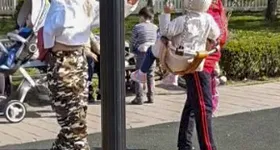 Galerie foto - poza 3