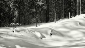 Prognoza meteo azi, 26 februarie 2026. Ger în centrul țării, soare și maxime de până la 10°C în vestul României