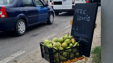 O femeie din Brașov oferă pere gratis șoferilor blocați în trafic. Ce a găsit românca în lădiță după gestul făcut: ”M-a impresionat!”