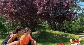 Galerie foto - poza 2