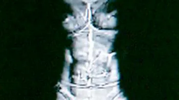 Au protestat goi impotriva scannerelor corporale