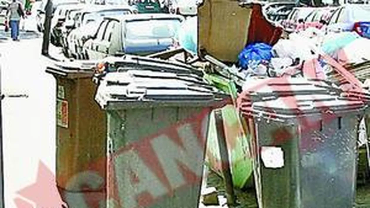 Munti de gunoaie pe strazile din Alba Iulia