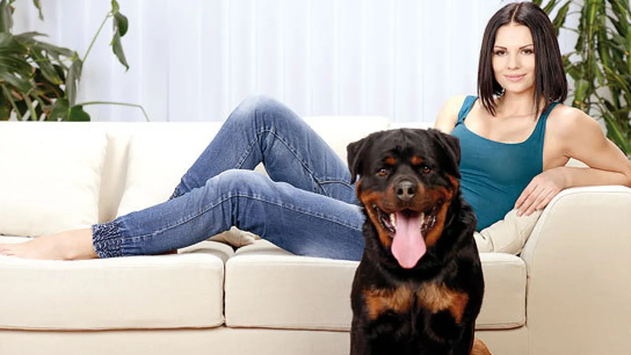 Rase de câini pentru curte! Top 10 cele mai protectoare patrupede