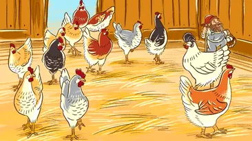 Test de inteligență | În această imagine s-au strecurat 4 greșeli. Doar un geniu le poate identifica pe toate