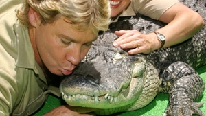 Steve Irwin ar putea fi dezgropat