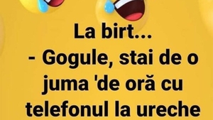 BANC | "Gogule, stai de juma' de oră cu telefonul la ureche"