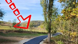 Descoperire istorică făcută în România, unică în lume! Ce a găsit un bărbat, pe un câmp din comuna Șoimuș